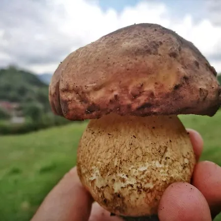 Arco Antico クザーノ・ムトリ