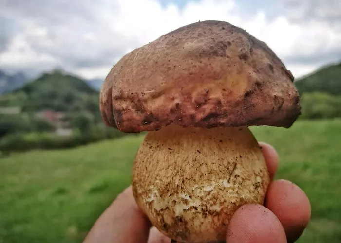 Arco Antico Cusano Mutri