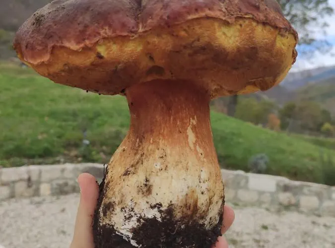 Arco Antico Gasthof 3*