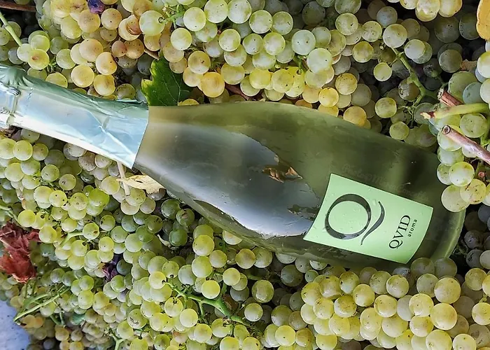 Arco Antico 3* Cusano Mutri