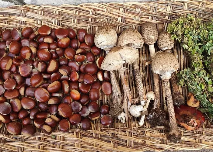 Arco Antico 3* Cusano Mutri